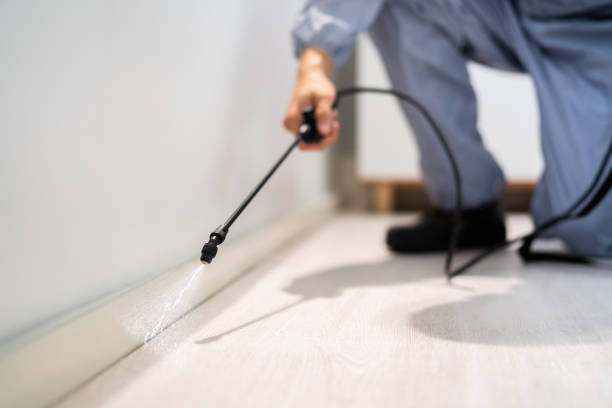 Licensed Termite Control service in Southampton County County, VA - Nex Pest Control