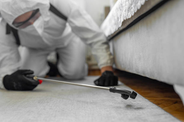 Professional Termite Control technician working in Southampton County County, VA